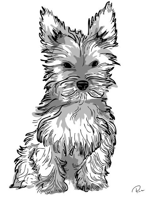 Printable Yorkie Coloring Pages